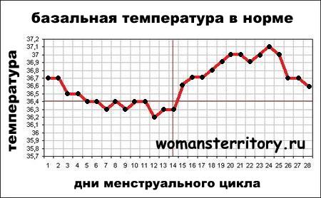 График базальной температуры