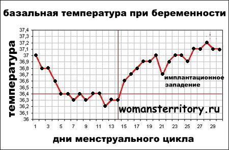 График базальной температуры