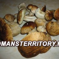 Как приготовить белые грибы в кисло-сладком маринаде